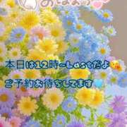 ヒメ日記 2025/11/14 09:29 投稿 ゆづき 栃木小山ちゃんこ
