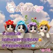 ヒメ日記 2025/11/16 09:52 投稿 ゆづき 栃木小山ちゃんこ