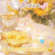 ヒメ日記 2025/11/18 10:22 投稿 ゆづき 栃木小山ちゃんこ