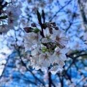 みすず お礼♡ 渋谷蘭の会