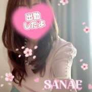 ヒメ日記 2025/03/21 10:11 投稿 和田 さなえ 30代40代50代と遊ぶなら博多人妻専科24時