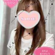 ヒメ日記 2025/07/01 00:31 投稿 和田 さなえ 30代40代50代と遊ぶなら博多人妻専科24時