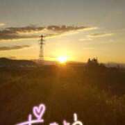 ヒメ日記 2025/01/15 08:03 投稿 ひなた いわき小名浜ちゃんこ