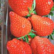 ヒメ日記 2025/02/25 12:43 投稿 ひなた いわき小名浜ちゃんこ