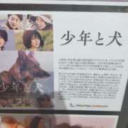 ヒメ日記 2025/03/30 11:53 投稿 ひなた いわき小名浜ちゃんこ