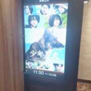 ヒメ日記 2025/03/31 05:03 投稿 ひなた いわき小名浜ちゃんこ