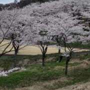 ヒメ日記 2025/04/10 17:53 投稿 ひなた いわき小名浜ちゃんこ