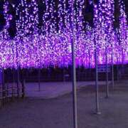 ヒメ日記 2025/05/02 18:53 投稿 ひなた いわき小名浜ちゃんこ