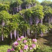 ヒメ日記 2025/05/03 21:07 投稿 ひなた いわき小名浜ちゃんこ