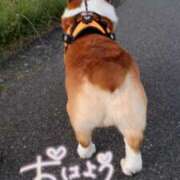 ヒメ日記 2025/06/03 07:43 投稿 ひなた いわき小名浜ちゃんこ