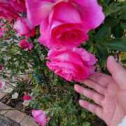 ヒメ日記 2025/06/04 22:53 投稿 ひなた いわき小名浜ちゃんこ