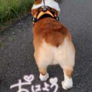 ヒメ日記 2025/09/24 07:03 投稿 ひなた いわき小名浜ちゃんこ