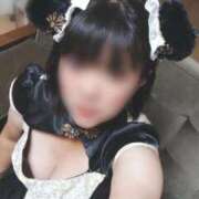 ヒメ日記 2025/10/04 10:13 投稿 ひなた いわき小名浜ちゃんこ