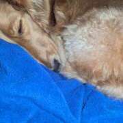 ヒメ日記 2025/01/06 02:45 投稿 れんツー Three＆Men’s Spa 諏訪