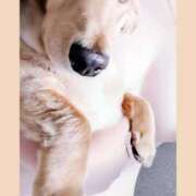 ヒメ日記 2025/01/08 06:53 投稿 れんツー Three＆Men’s Spa 諏訪