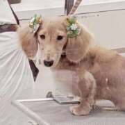 れんツー ありがとう! Three＆Men’s Spa 諏訪