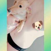 ヒメ日記 2024/12/21 16:52 投稿 れんツー Three＆Men’s Spa 甲府