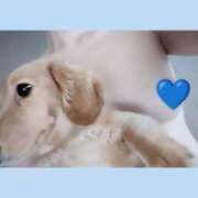 ヒメ日記 2025/01/07 11:45 投稿 れんツー Three＆Men’s Spa 甲府