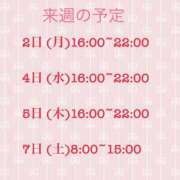 ヒメ日記 2026/01/28 20:42 投稿 七海 VIPクリスタル