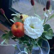 ヒメ日記 2026/03/11 08:02 投稿 七海 VIPクリスタル