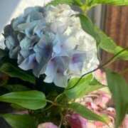 ヒメ日記 2026/03/11 16:10 投稿 七海 VIPクリスタル