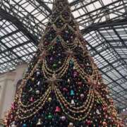 ヒメ日記 2025/11/10 23:24 投稿 ゆか アメリカンクリスタル