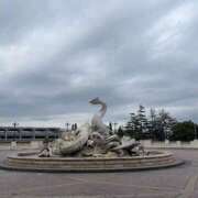 ゆか 😿😿😿 アメリカンクリスタル