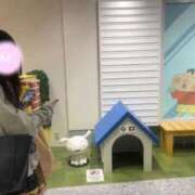 ヒメ日記 2026/04/27 04:07 投稿 夏目 みお アロマージュ大宮