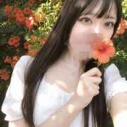 ヒメ日記 2026/09/08 09:37 投稿 夏目 みお アロマージュ大宮