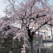 ヒメ日記 2026/03/30 04:05 投稿 みる PINK PLANET