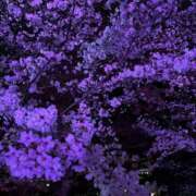 ヒメ日記 2026/04/01 08:55 投稿 みる PINK PLANET