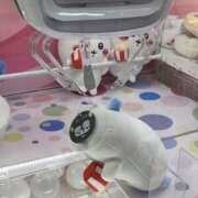 ヒメ日記 2026/09/26 08:19 投稿 みる PINK PLANET