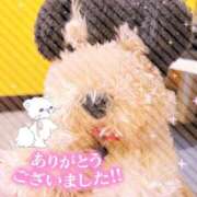 ヒメ日記 2025/06/29 02:21 投稿 ここ菜ゆずゆ 手コキ研修塾