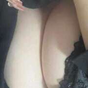 ヒメ日記 2025/01/15 04:27 投稿 ナオ(奥方) 奥様幕府