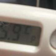 ヒメ日記 2025/01/17 16:14 投稿 ナオ(奥方) 奥様幕府