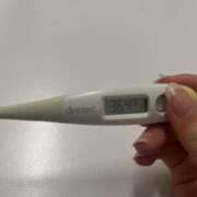 ヒメ日記 2025/04/24 14:36 投稿 ナオ(奥方) 奥様幕府