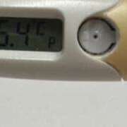 ヒメ日記 2025/08/12 14:51 投稿 ナオ(奥方) 奥様幕府