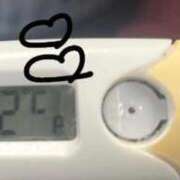 ヒメ日記 2025/08/15 18:27 投稿 ナオ(奥方) 奥様幕府