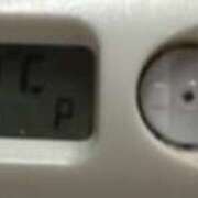 ヒメ日記 2025/08/17 13:17 投稿 ナオ(奥方) 奥様幕府