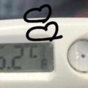 ヒメ日記 2025/10/06 14:37 投稿 ナオ(奥方) 奥様幕府