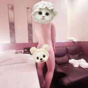 ヒメ日記 2025/10/17 01:57 投稿 ナオ(奥方) 奥様幕府