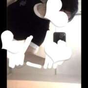 ヒメ日記 2025/12/26 01:47 投稿 ナオ(奥方) 奥様幕府