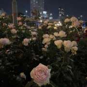 ヒメ日記 2025/08/15 15:39 投稿 ♥日葵【ひなた】♥ MUTEKI LAND