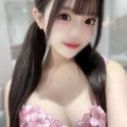 ヒメ日記 2025/04/24 14:31 投稿 みるく The White