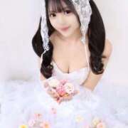 ヒメ日記 2025/04/25 10:58 投稿 みるく The White