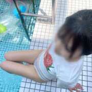 ヒメ日記 2025/05/19 07:01 投稿 みるく The White