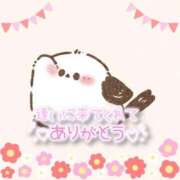 ヒメ日記 2025/05/28 12:16 投稿 みるく The White