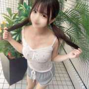 ヒメ日記 2025/05/30 07:01 投稿 みるく The White