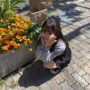 ヒメ日記 2025/06/04 15:15 投稿 みるく The White