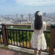 ヒメ日記 2025/06/29 17:00 投稿 みるく The White